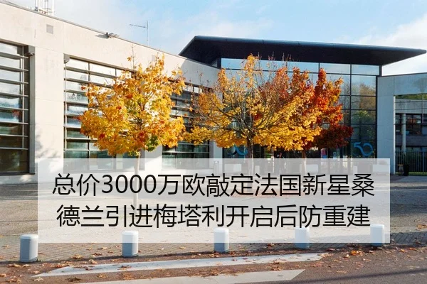 总价3000万欧敲定法国新星桑德兰引进梅塔利开启后防重建